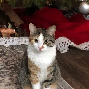 Meet your Posher, Carol